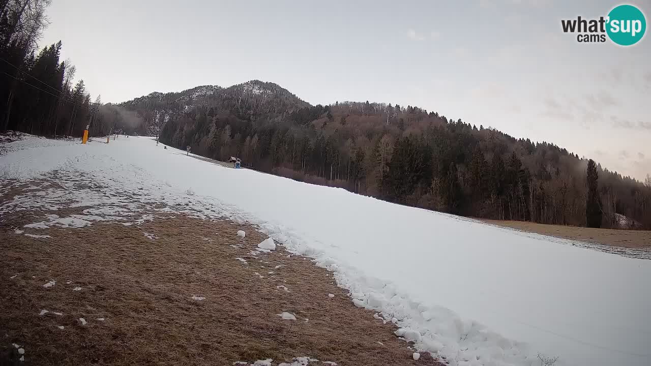 Kranjska Gora Station de ski | Brsnina