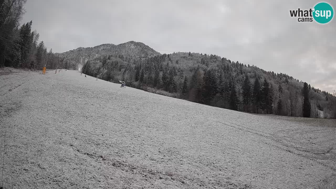 Ski Kranjska Gora | Brsnina