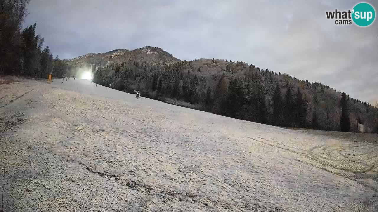 RTC Skigebiet Kranjska Gora | Brsnina