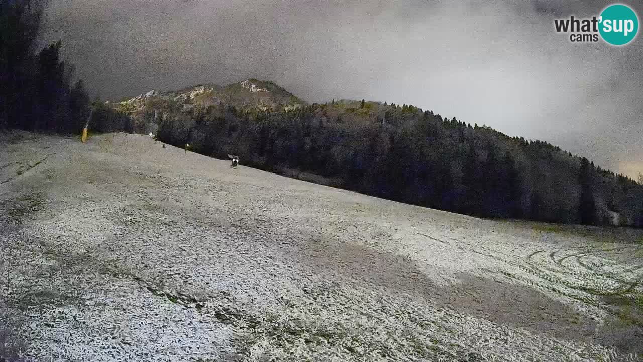 Comprensorio sciistico Kranjska Gora | Brsnina