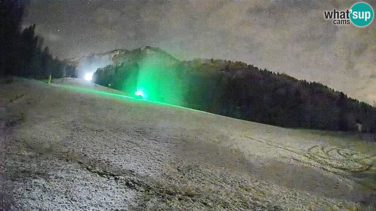 Comprensorio sciistico Kranjska Gora | Brsnina