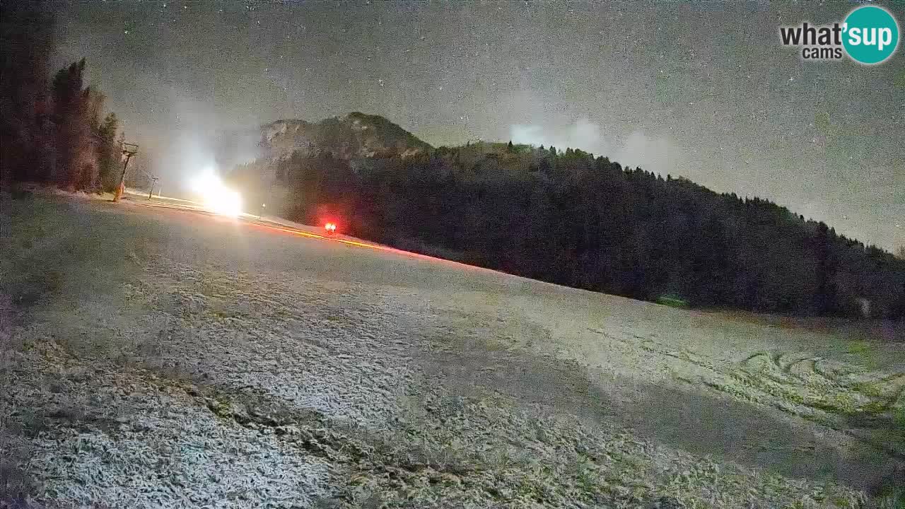 Kranjska Gora Station de ski | Brsnina