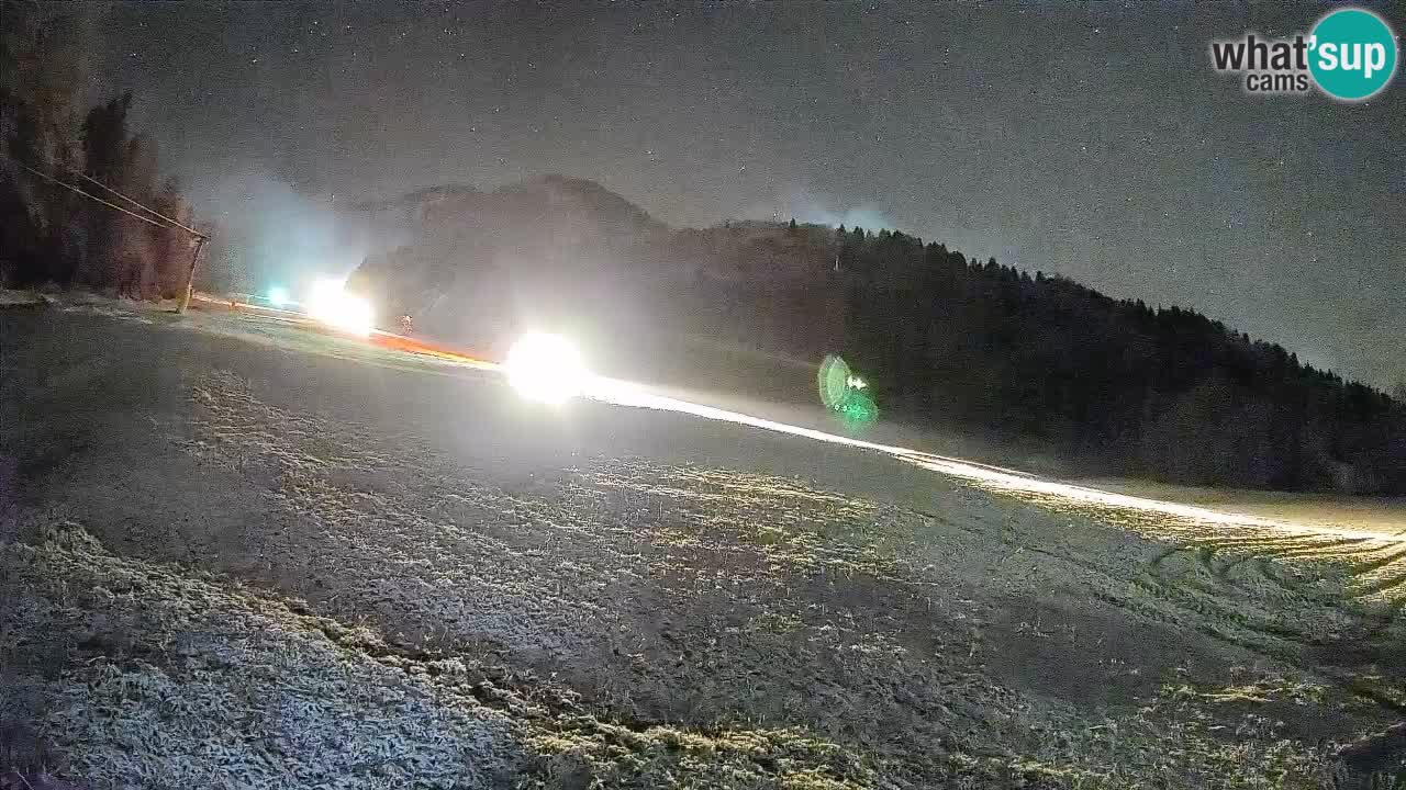 Kranjska Gora Station de ski | Brsnina