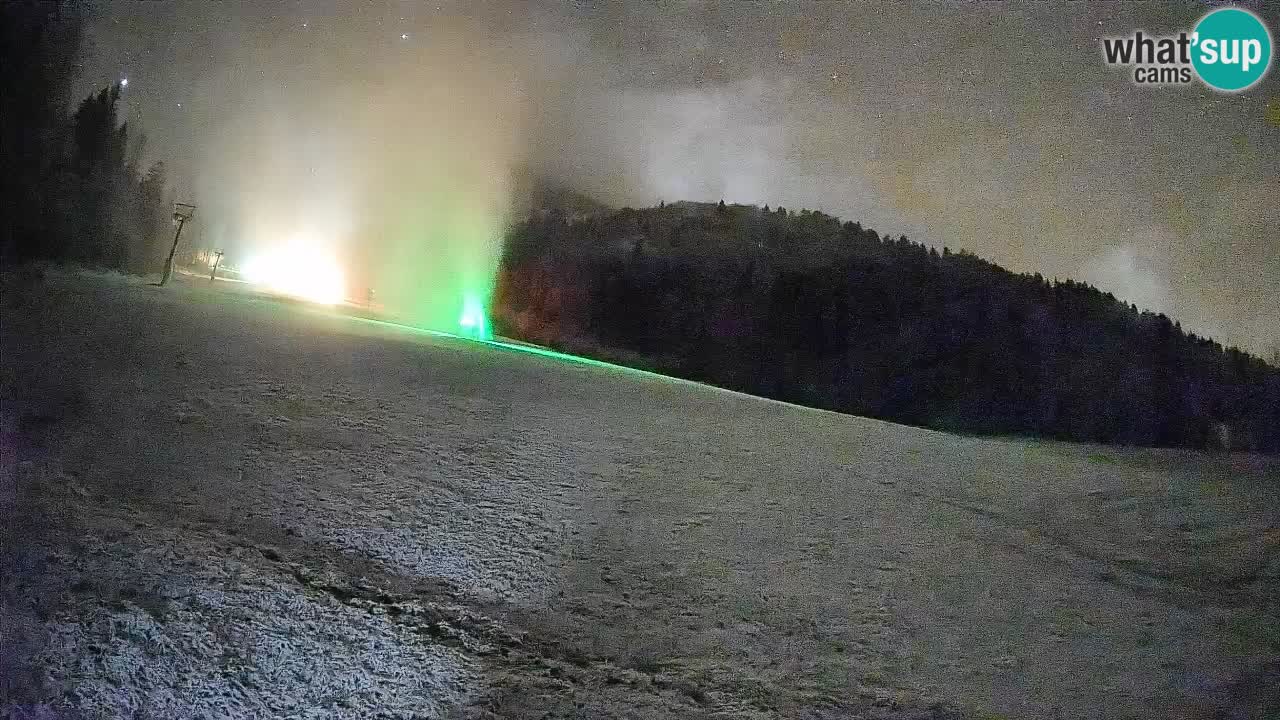 Kranjska Gora Station de ski | Brsnina