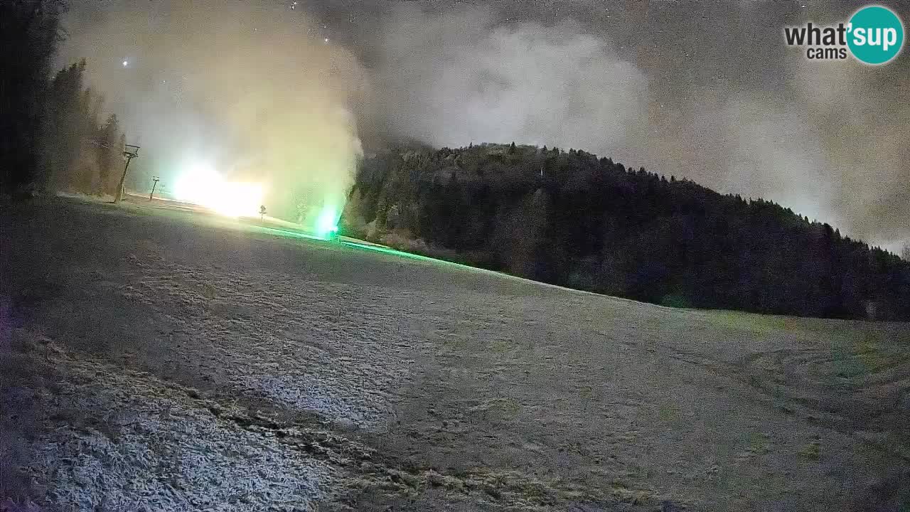 Ski Kranjska Gora | Brsnina