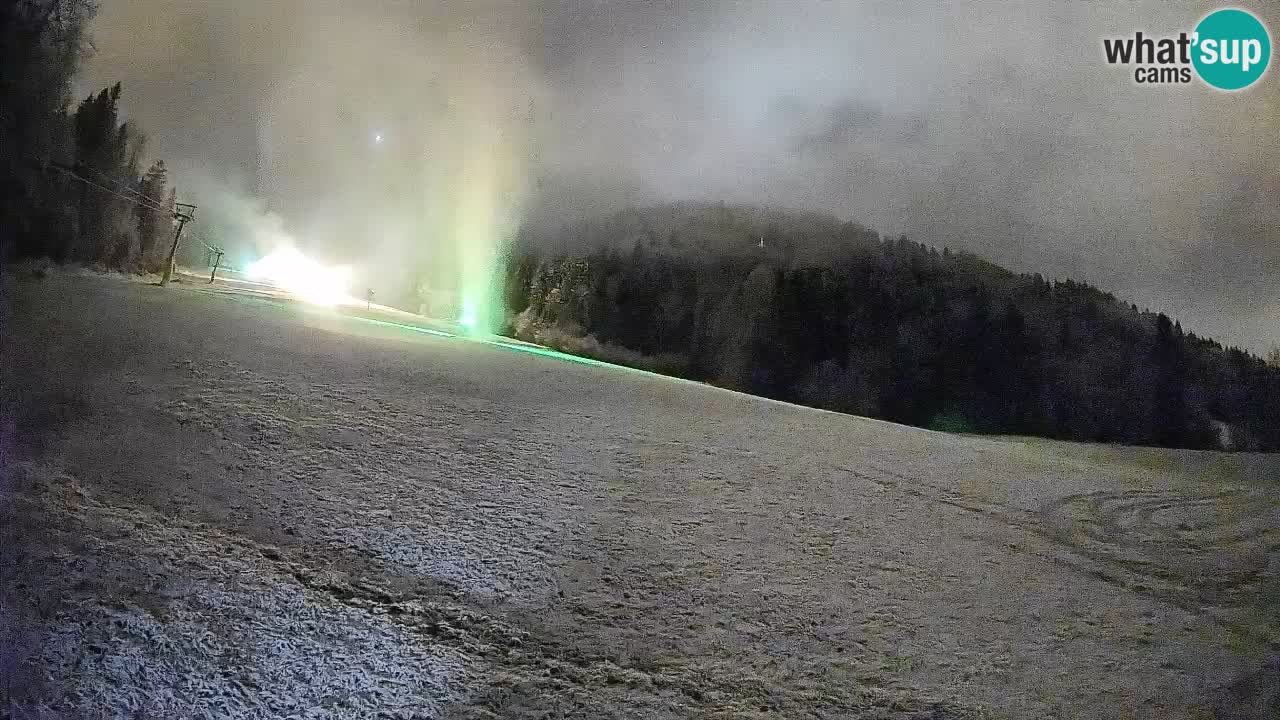 Kranjska Gora Station de ski | Brsnina