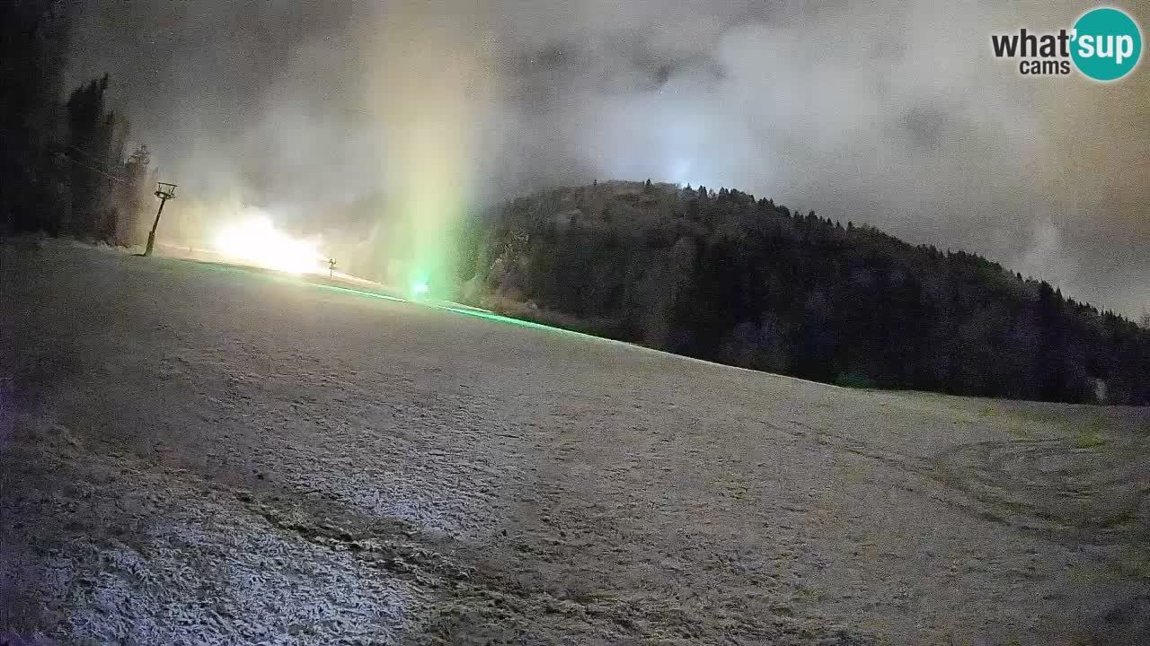 Ski Kranjska Gora | Brsnina