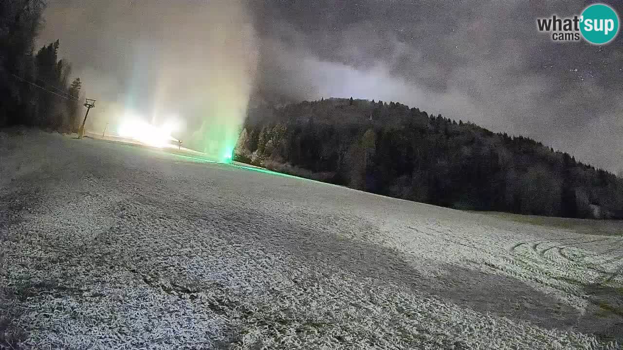 RTC Skigebiet Kranjska Gora | Brsnina