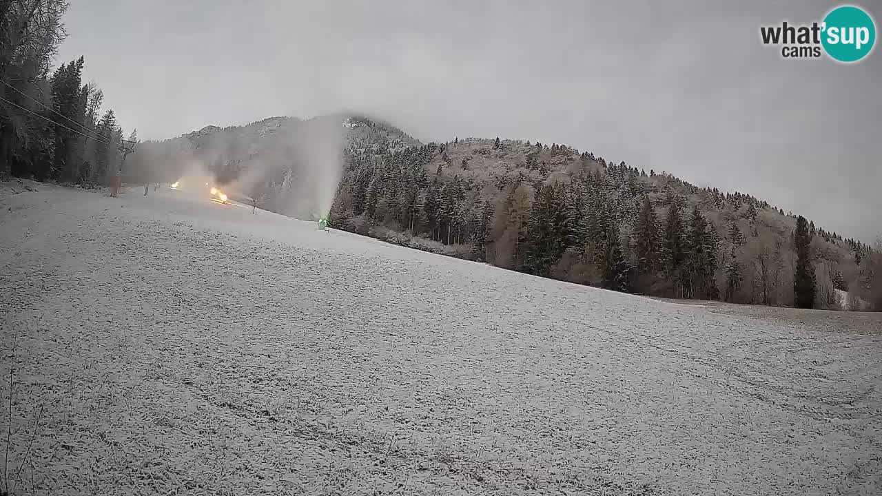 RTC Kranjska Gora | Brsnina