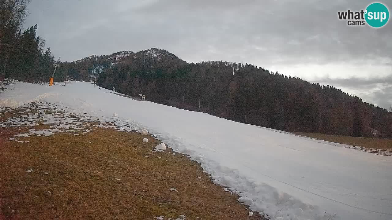 RTC Kranjska Gora | Brsnina