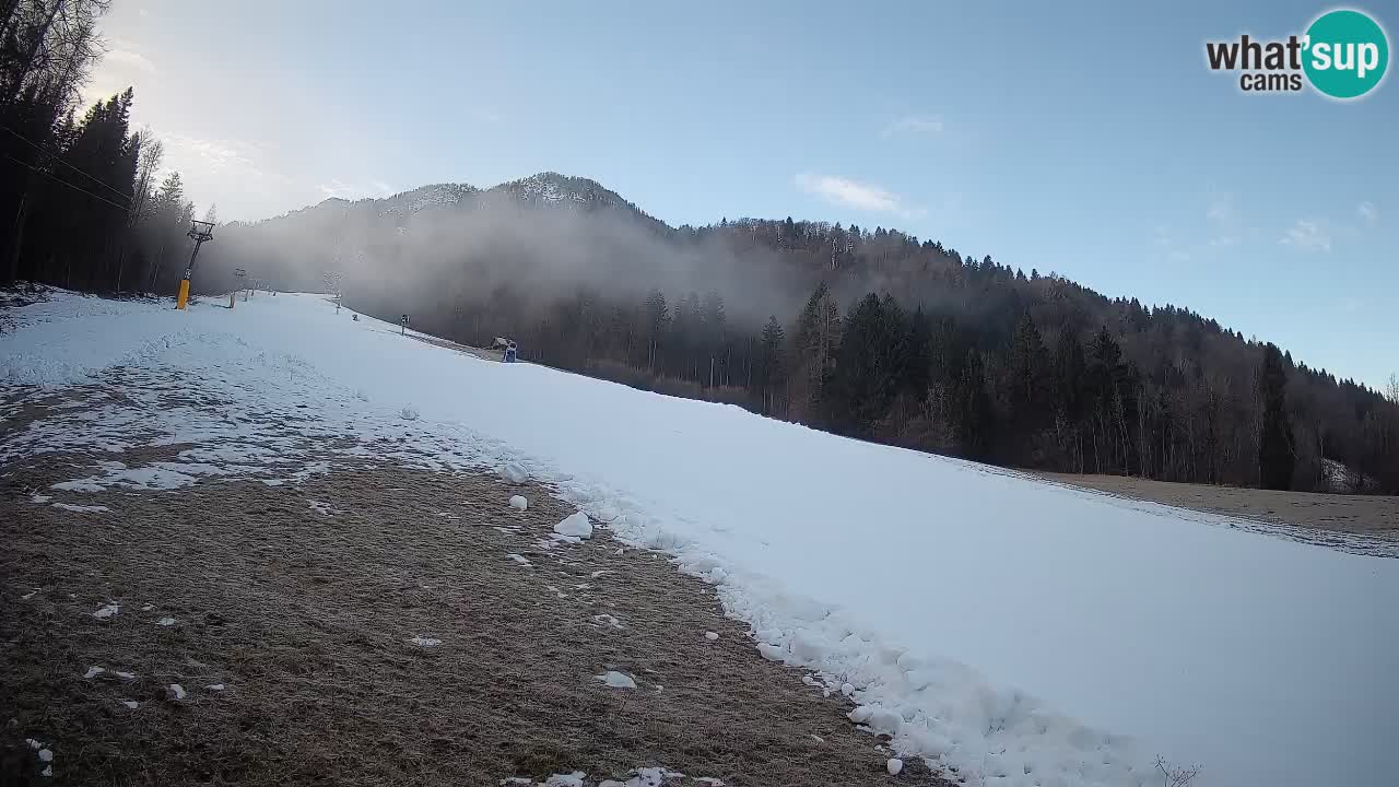 Comprensorio sciistico Kranjska Gora | Brsnina