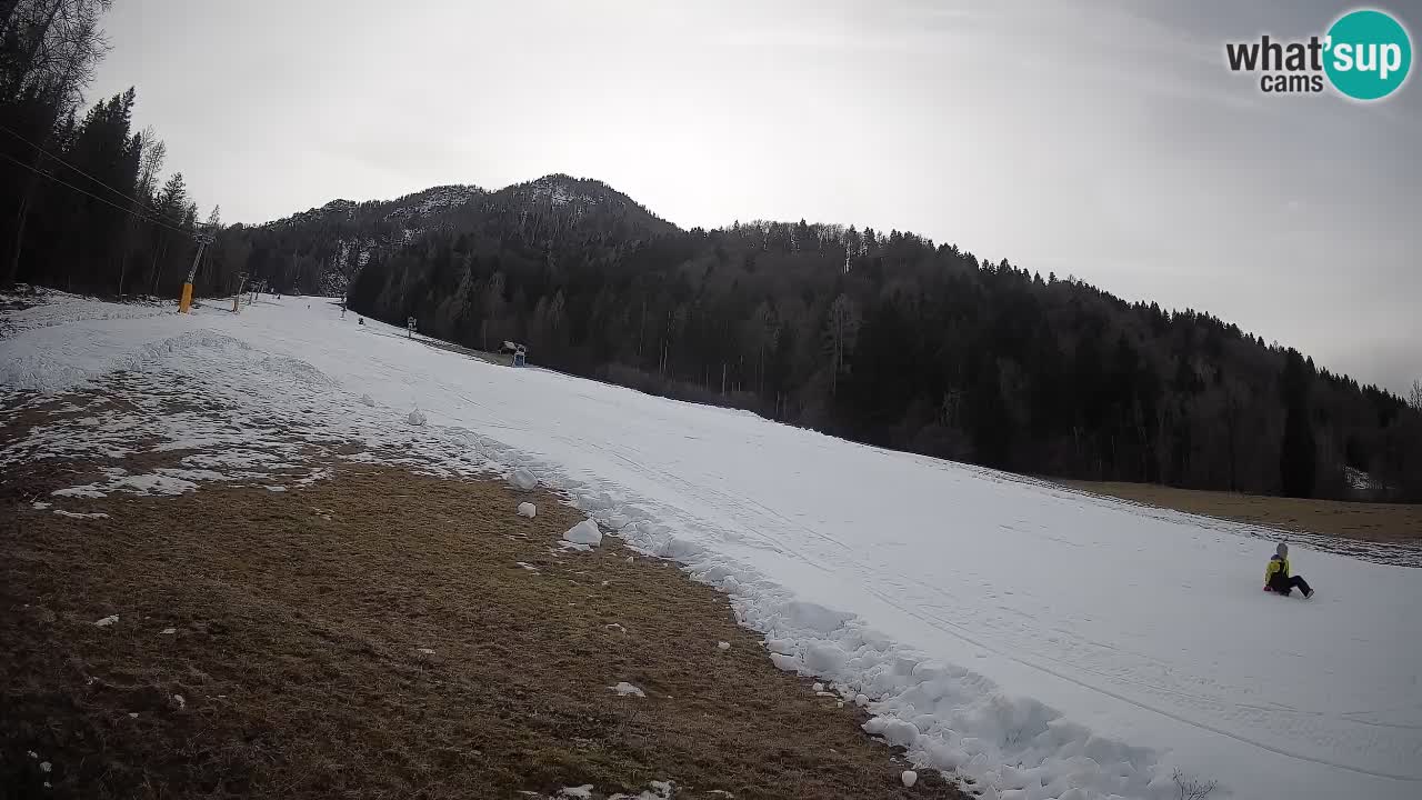 Ski Kranjska Gora | Brsnina