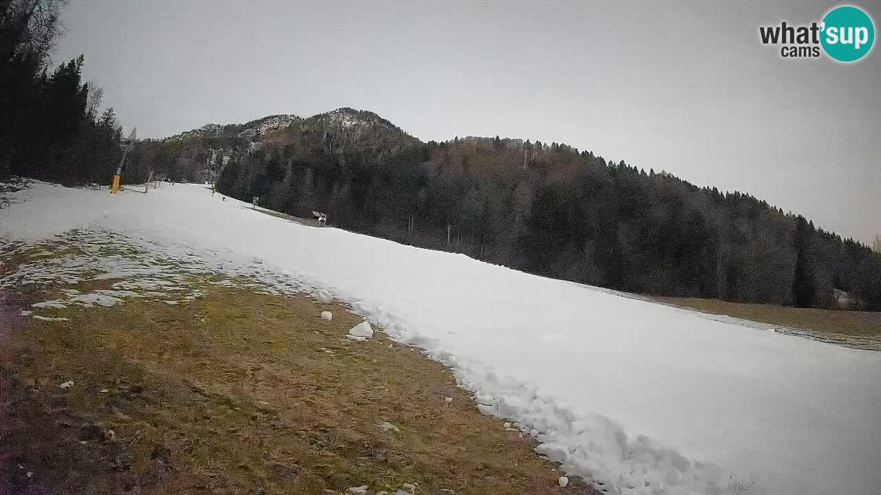 RTC Kranjska Gora | Brsnina