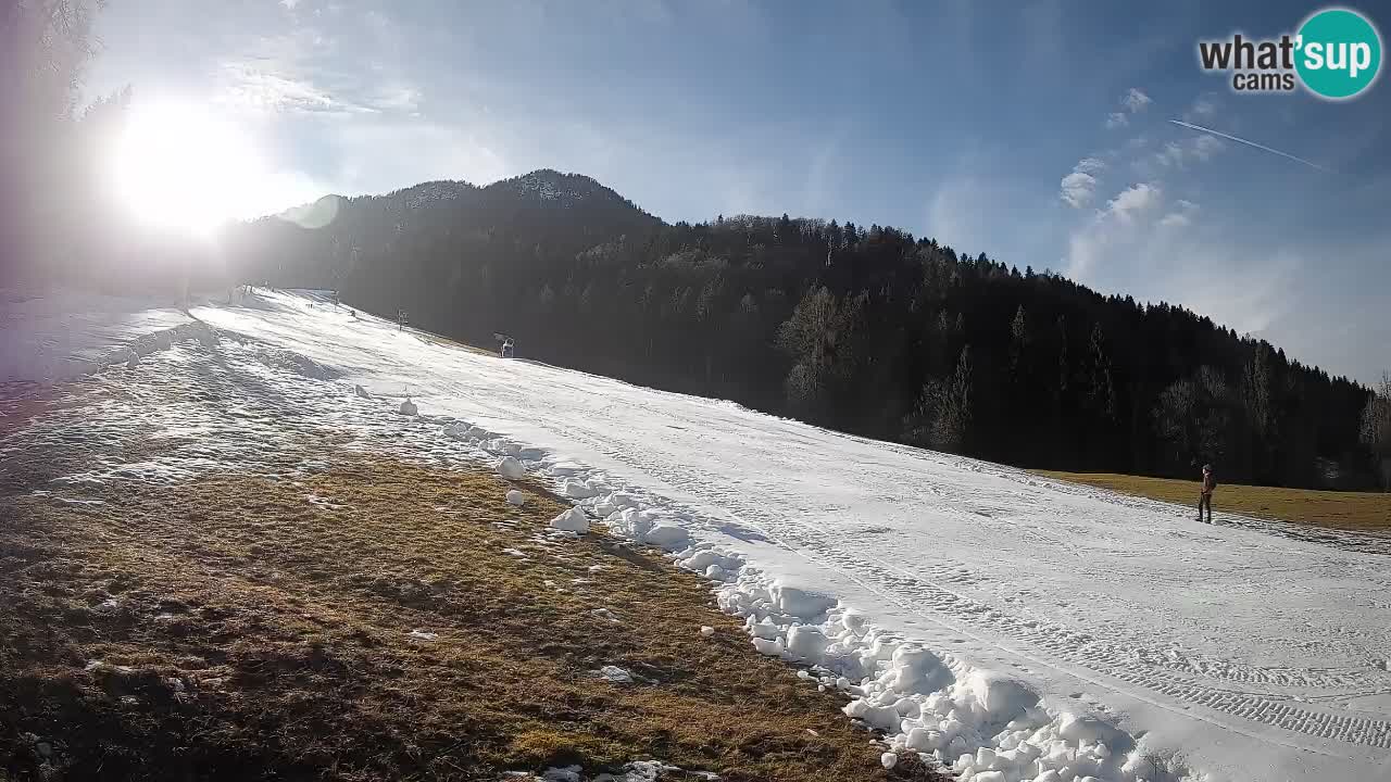 RTC Kranjska Gora | Brsnina