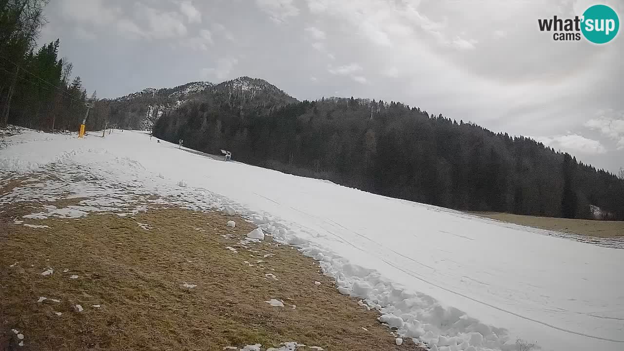 Kranjska Gora Station de ski | Brsnina
