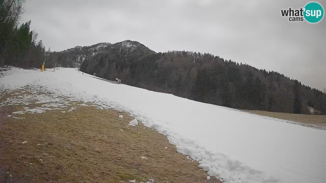 Ski Kranjska Gora | Brsnina