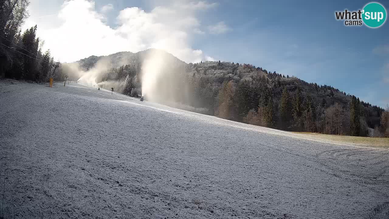 RTC Kranjska Gora | Brsnina