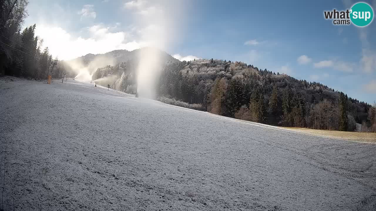 Comprensorio sciistico Kranjska Gora | Brsnina