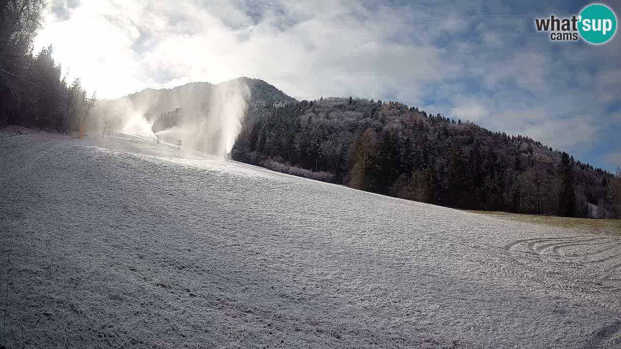 Comprensorio sciistico Kranjska Gora | Brsnina