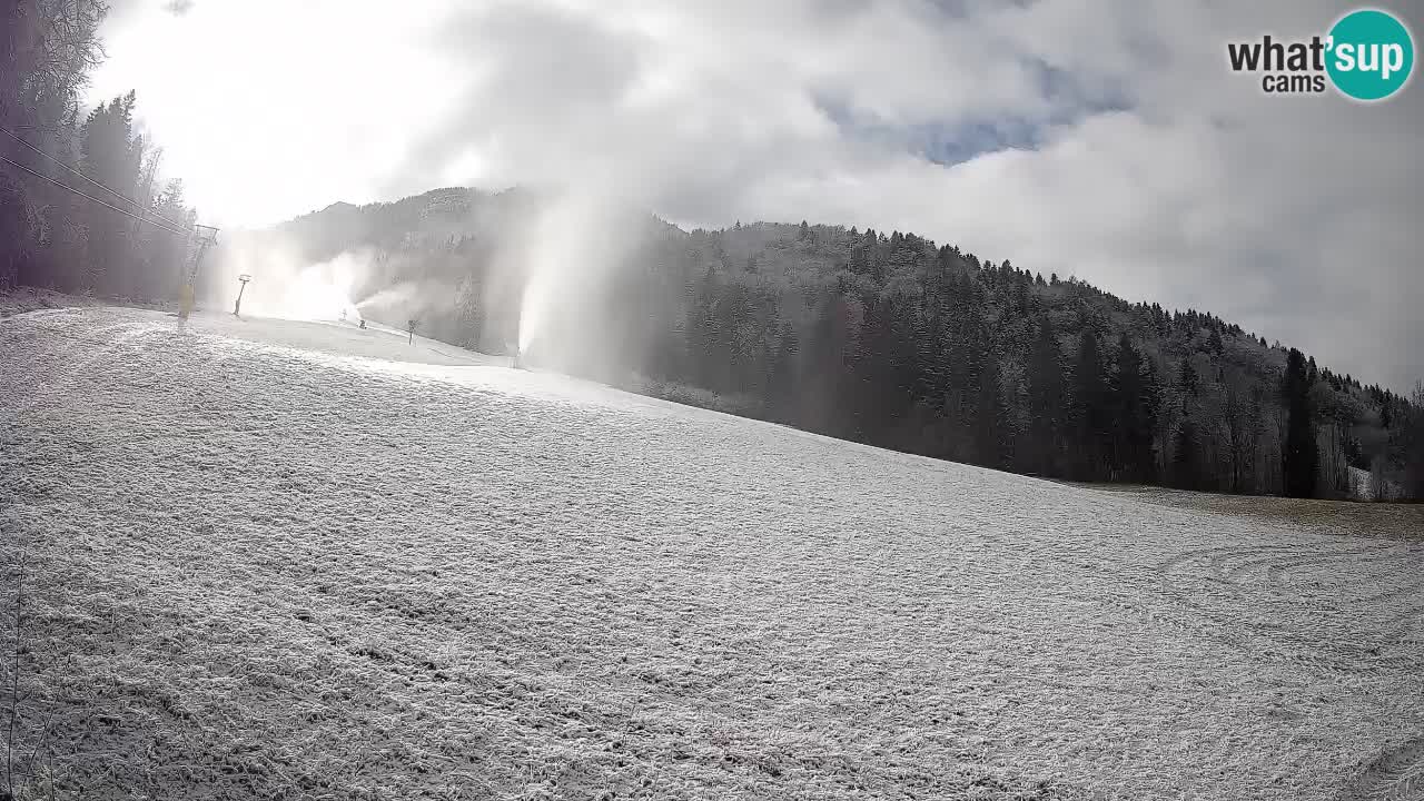 RTC Kranjska Gora | Brsnina