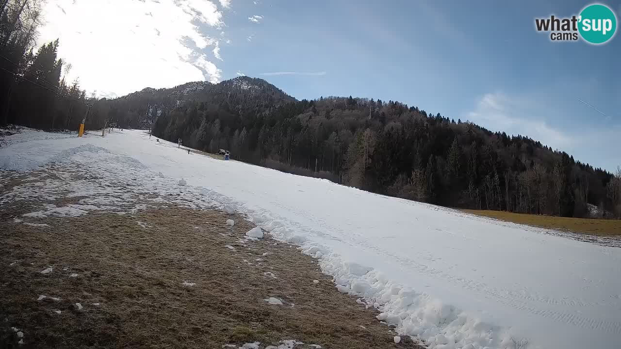 RTC Skigebiet Kranjska Gora | Brsnina