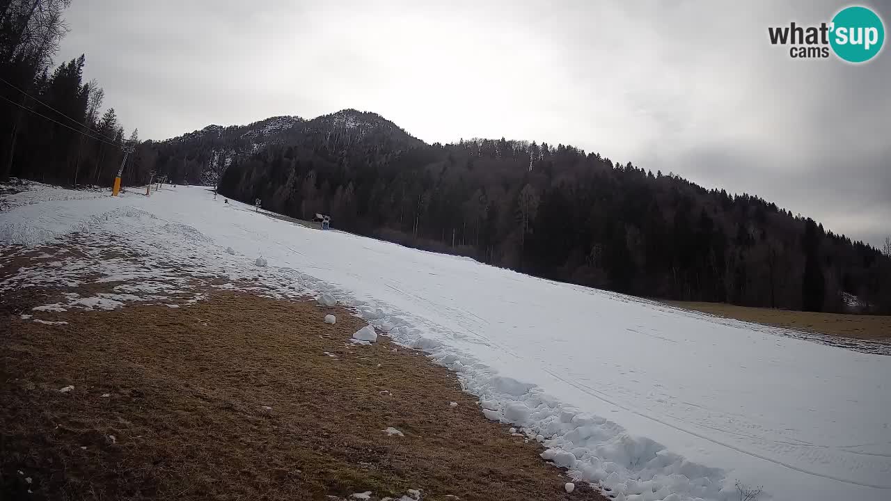 Kranjska Gora Station de ski | Brsnina