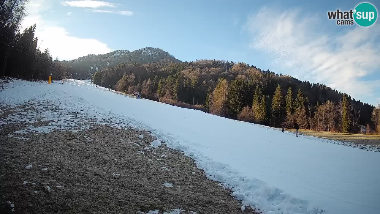 RTC Kranjska Gora | Brsnina