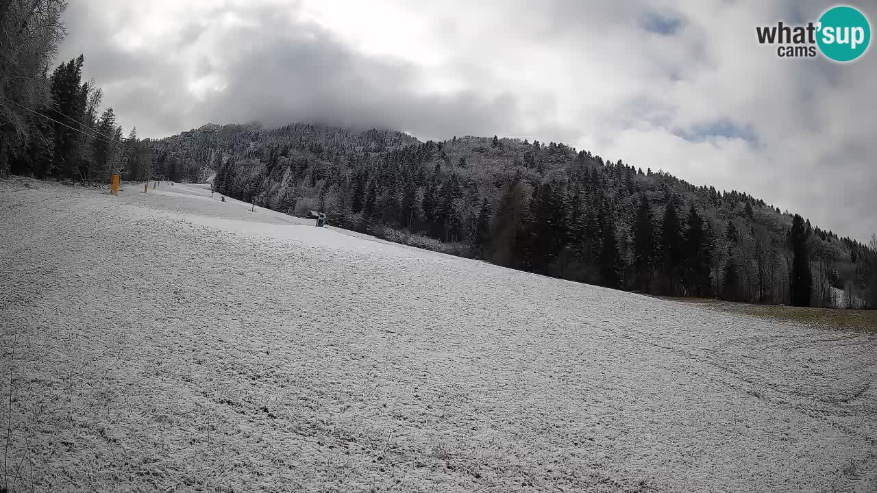 Comprensorio sciistico Kranjska Gora | Brsnina