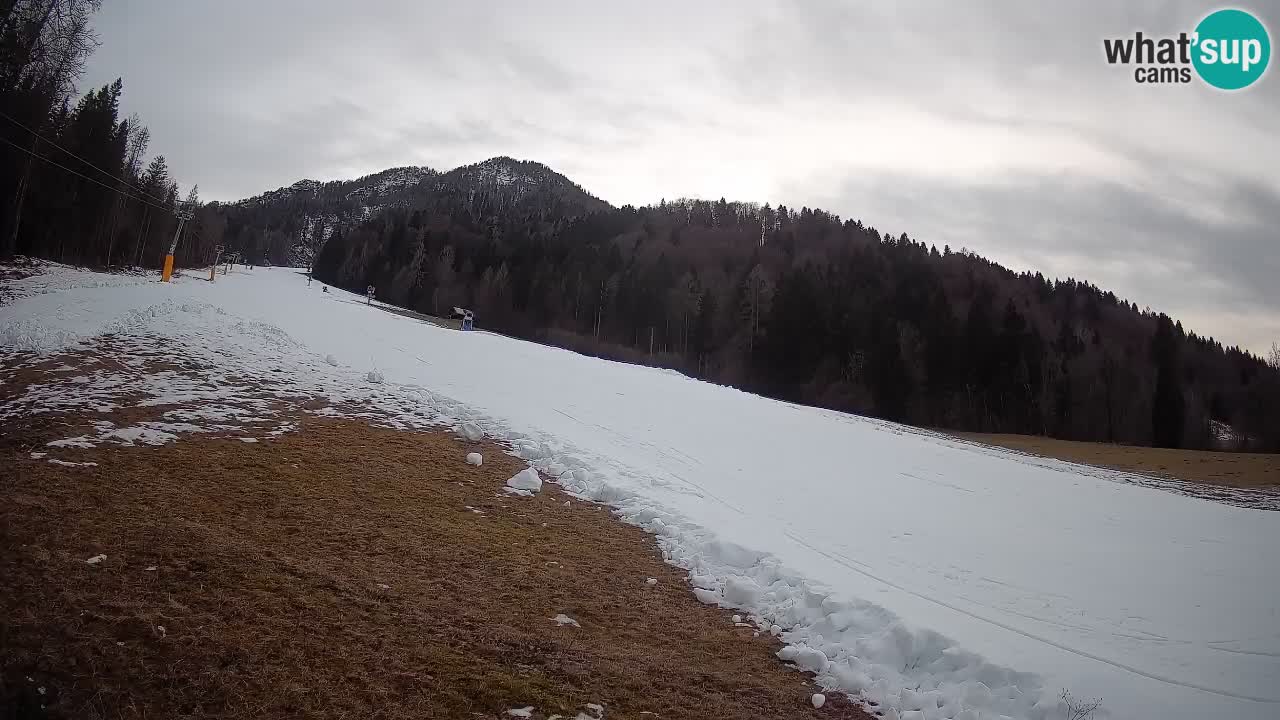 Kranjska Gora SKIJANJE | Brsnina