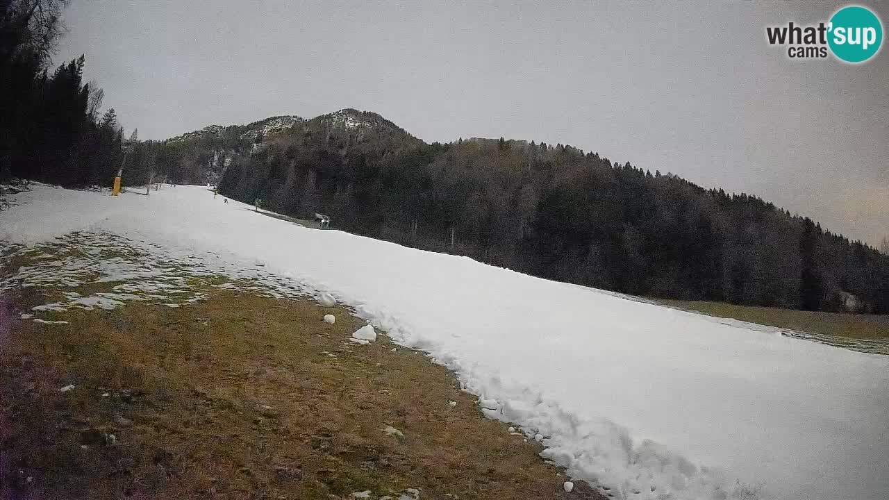 Ski Kranjska Gora | Brsnina