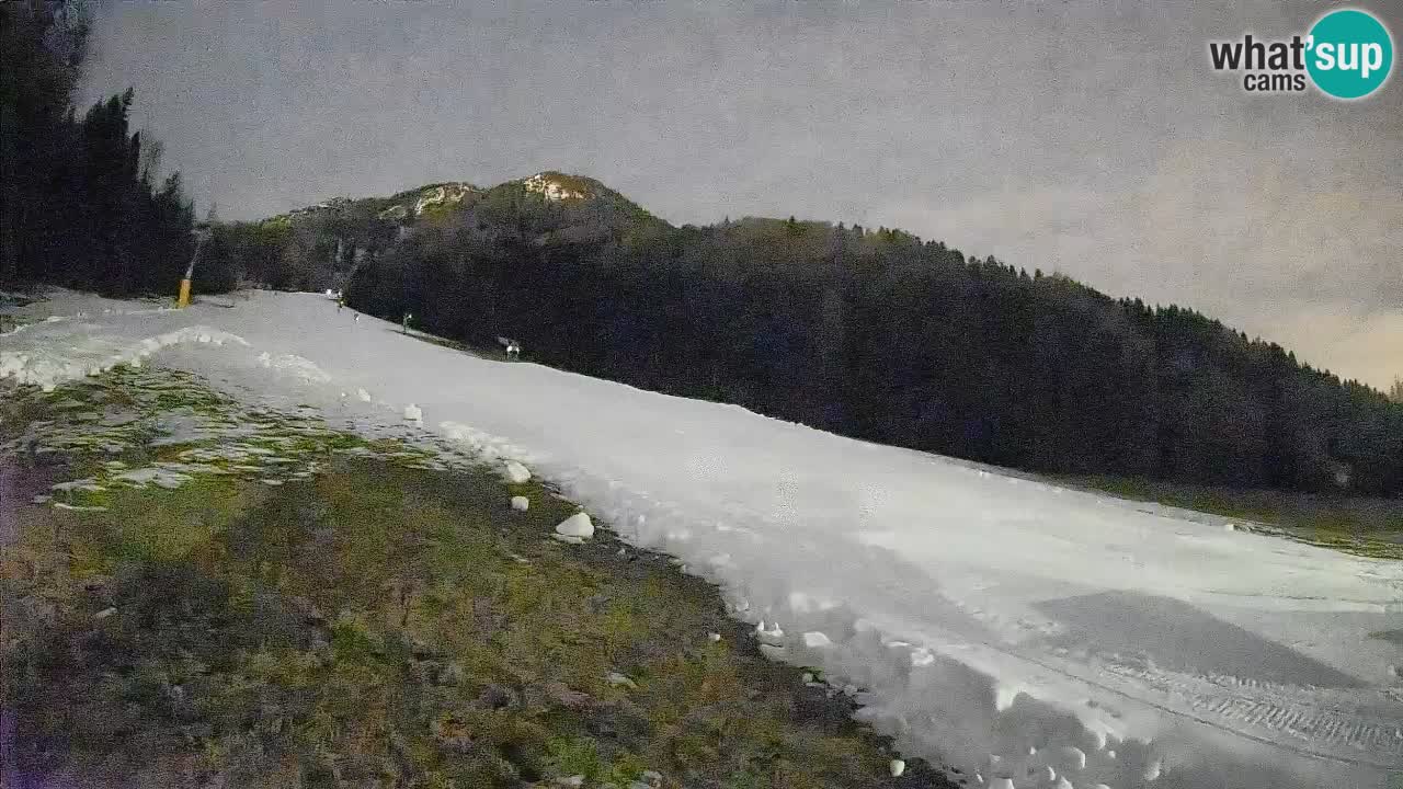 RTC Kranjska Gora | Brsnina