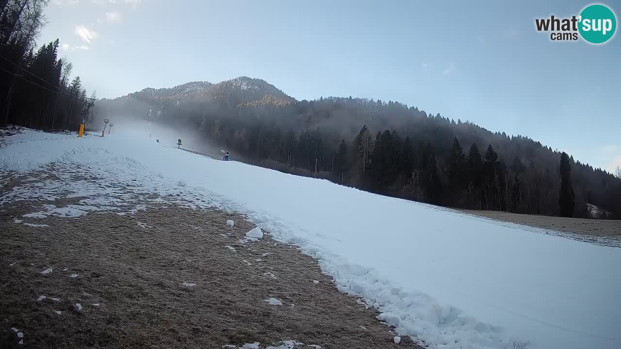 Ski Kranjska Gora | Brsnina
