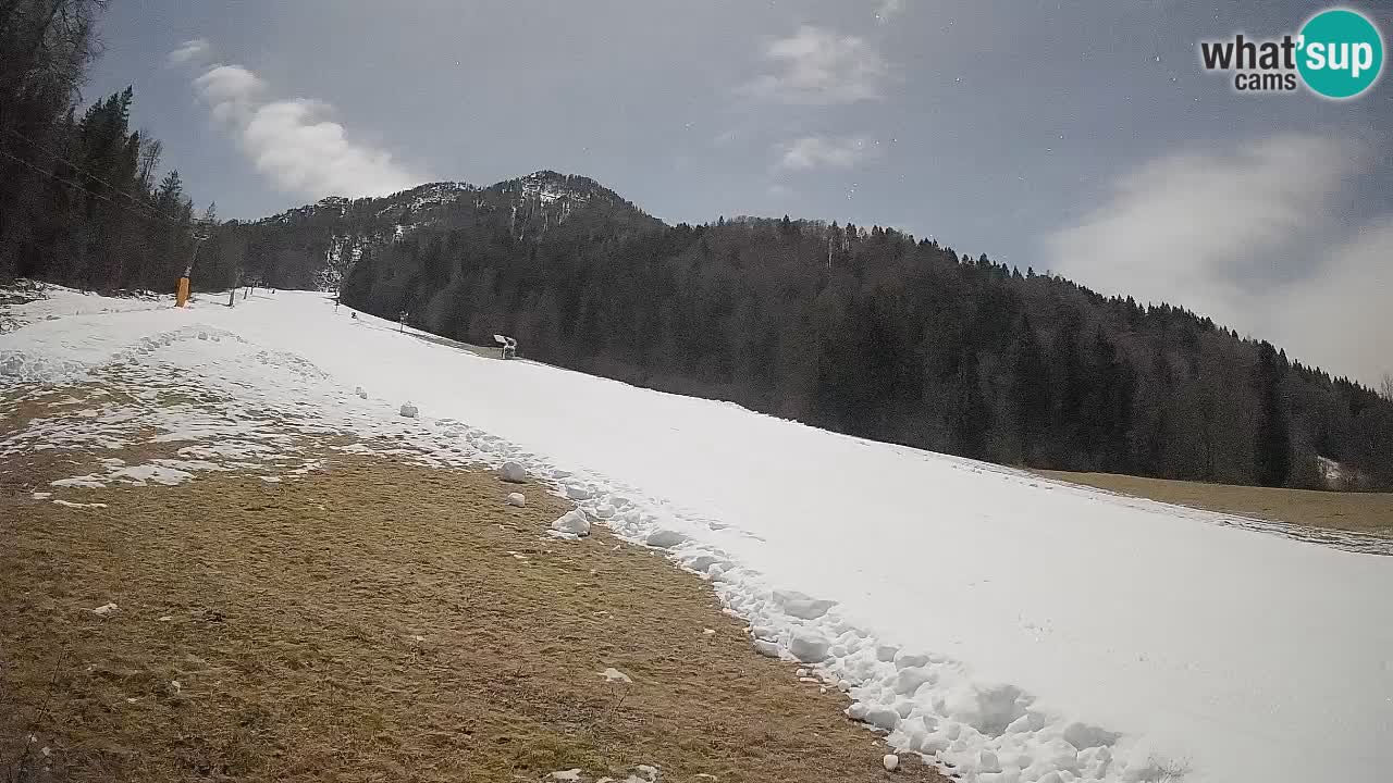 Comprensorio sciistico Kranjska Gora | Brsnina