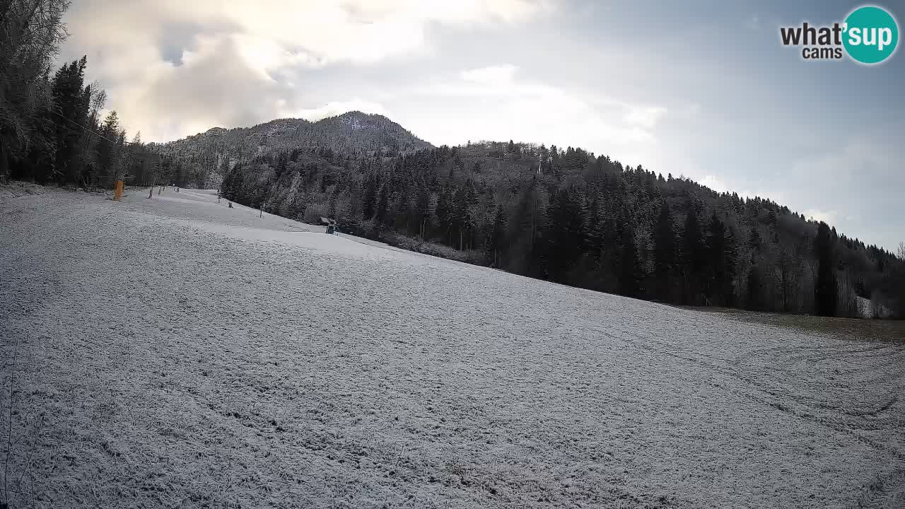 RTC Skigebiet Kranjska Gora | Brsnina