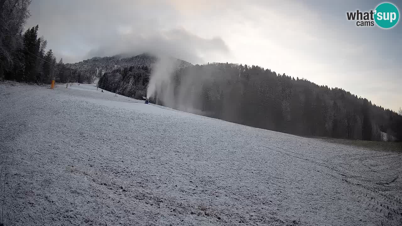 RTC Skigebiet Kranjska Gora | Brsnina