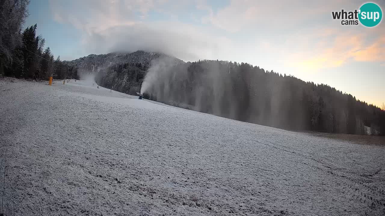 Ski Kranjska Gora | Brsnina