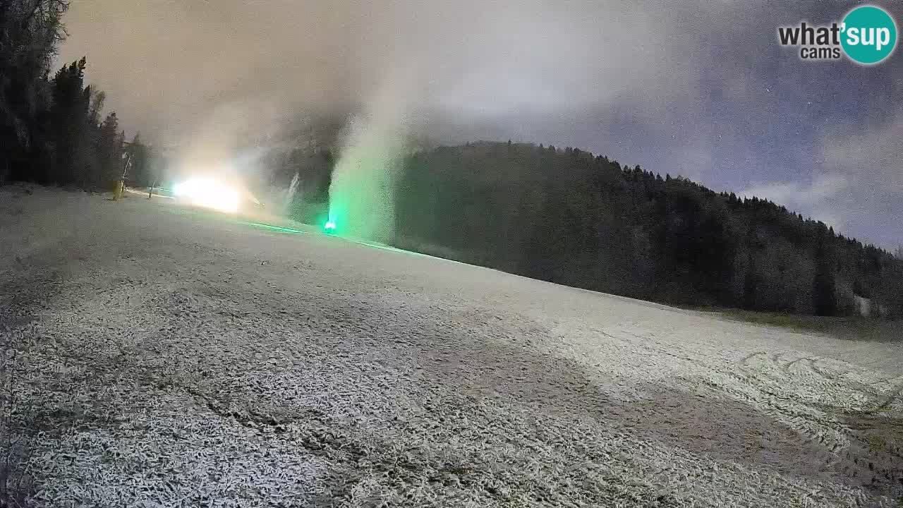 Kranjska Gora Station de ski | Brsnina