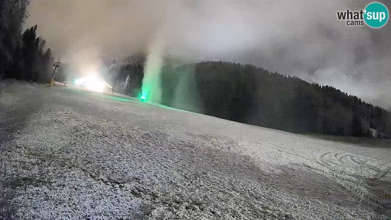 Ski Kranjska Gora | Brsnina