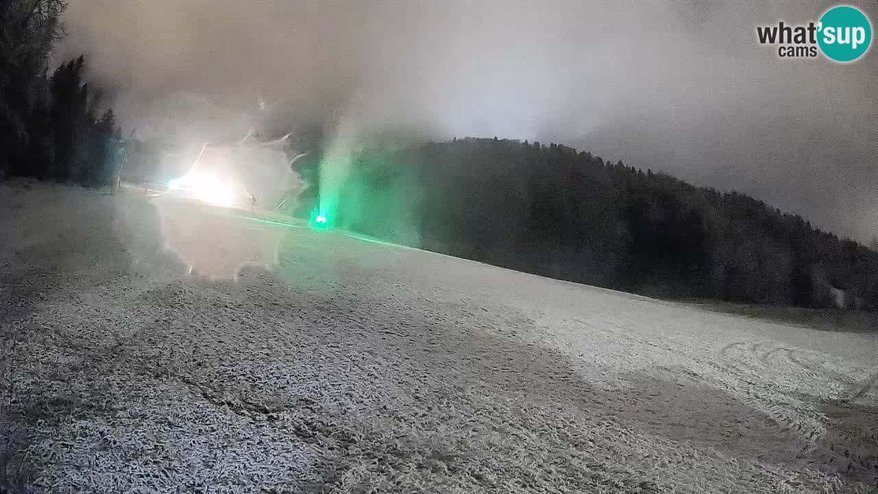 Kranjska Gora Station de ski | Brsnina