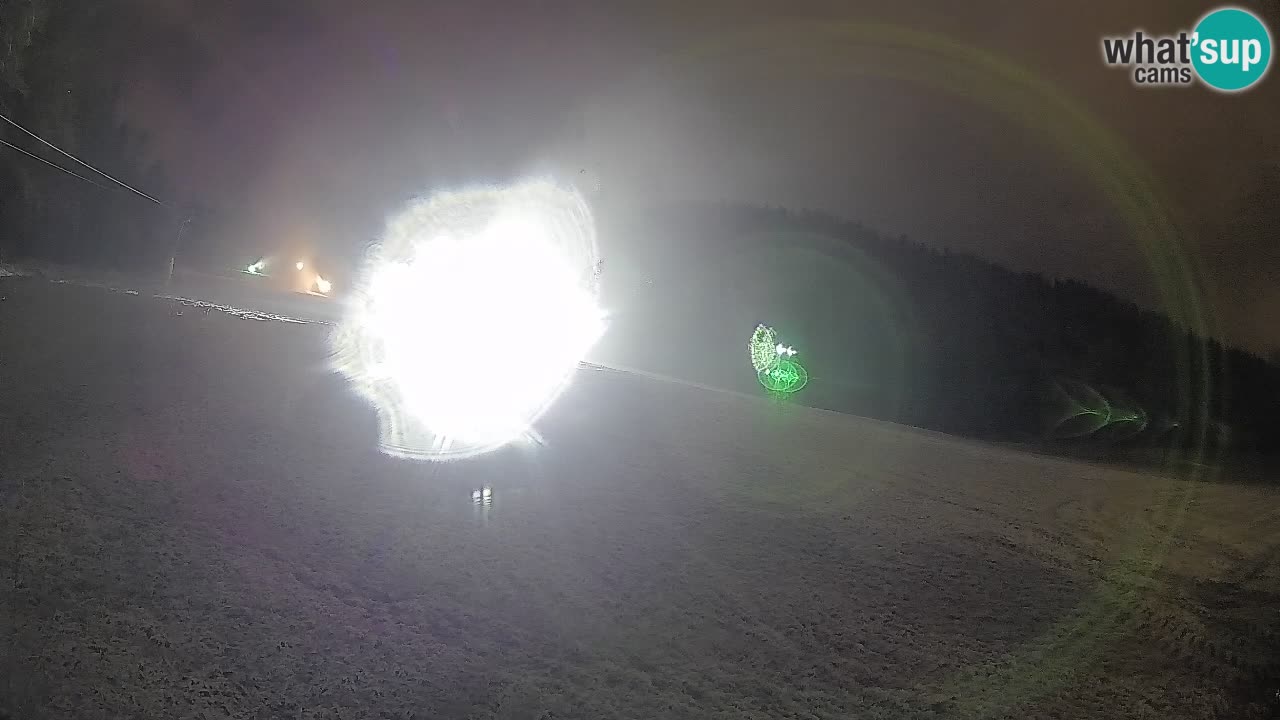 Ski Kranjska Gora | Brsnina