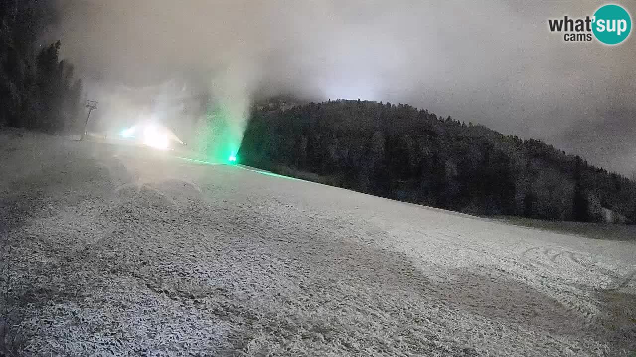 RTC Kranjska Gora | Brsnina