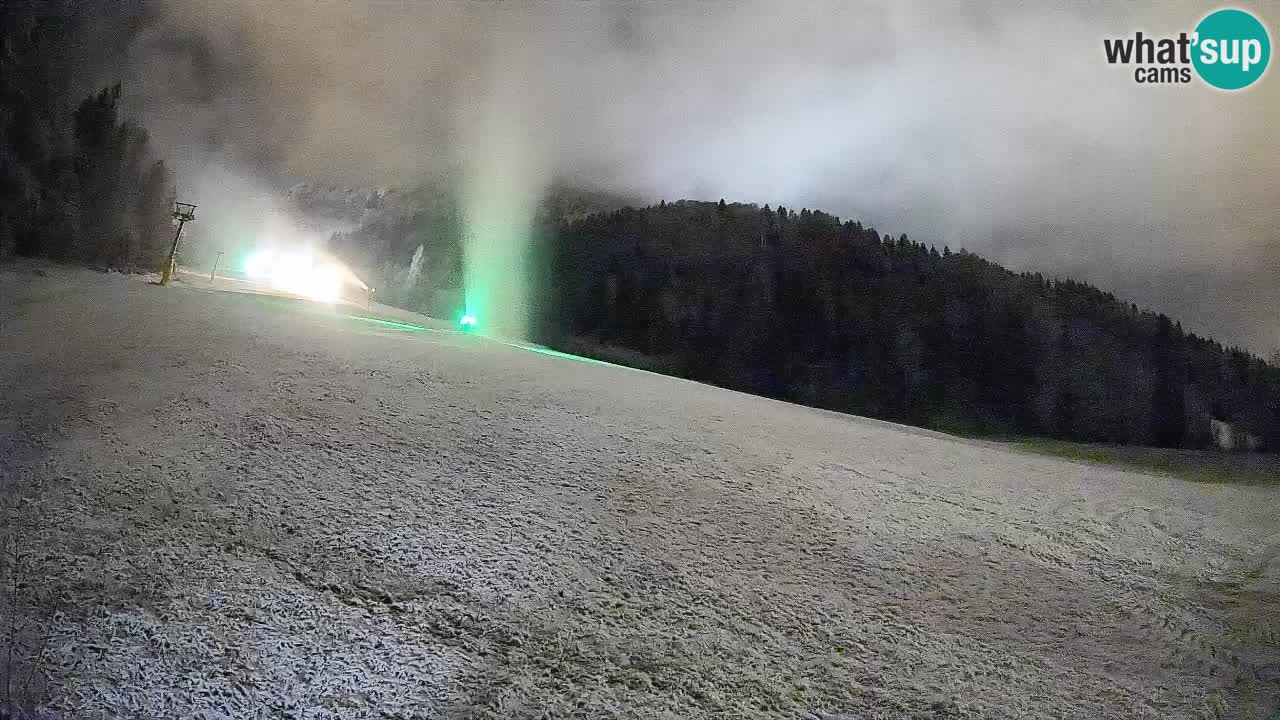 Comprensorio sciistico Kranjska Gora | Brsnina