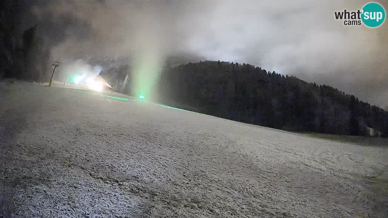 Kranjska Gora Station de ski | Brsnina