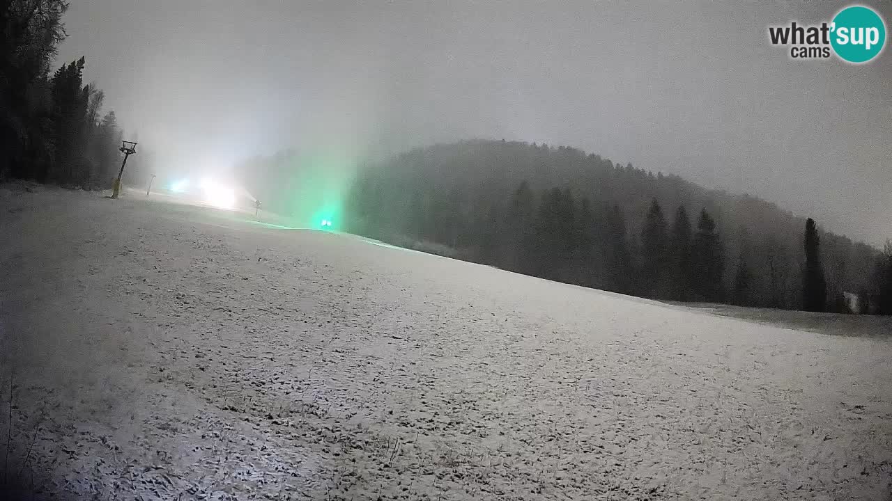 RTC Skigebiet Kranjska Gora | Brsnina