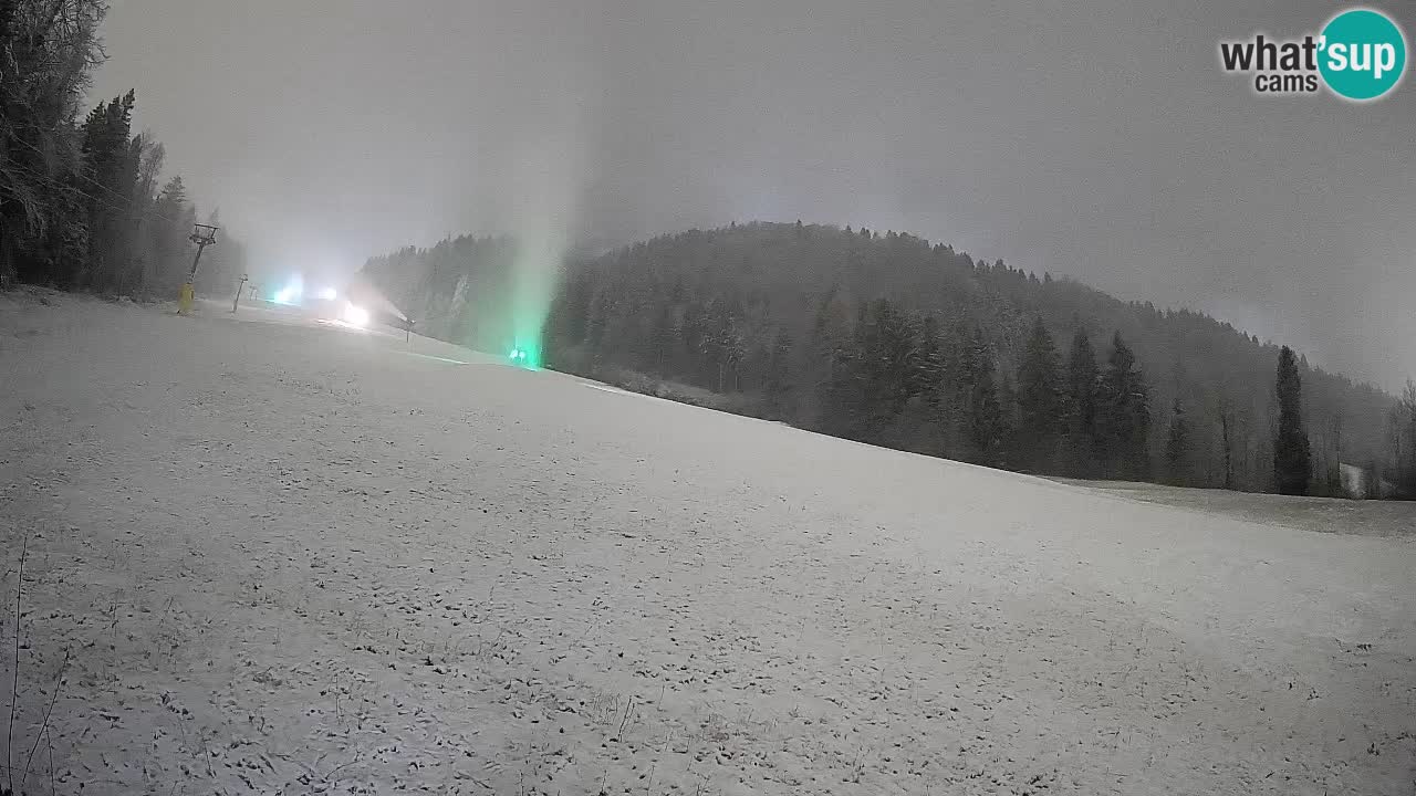 RTC Kranjska Gora | Brsnina