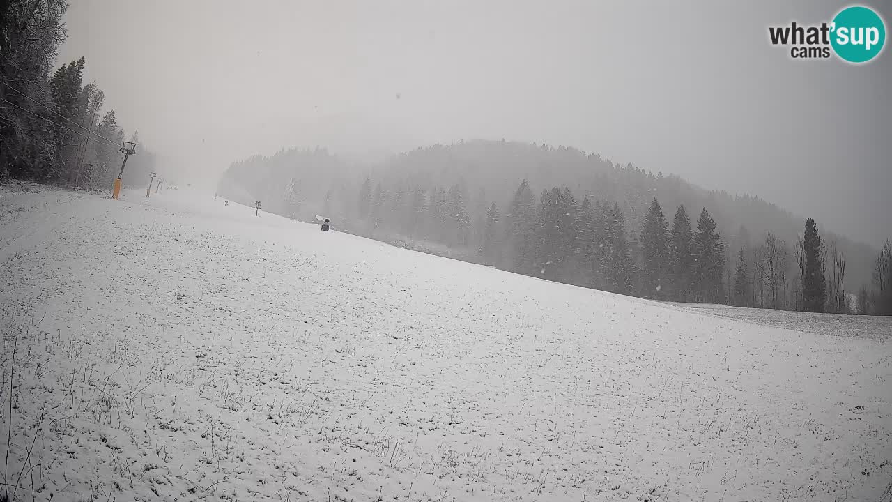 Ski Kranjska Gora | Brsnina