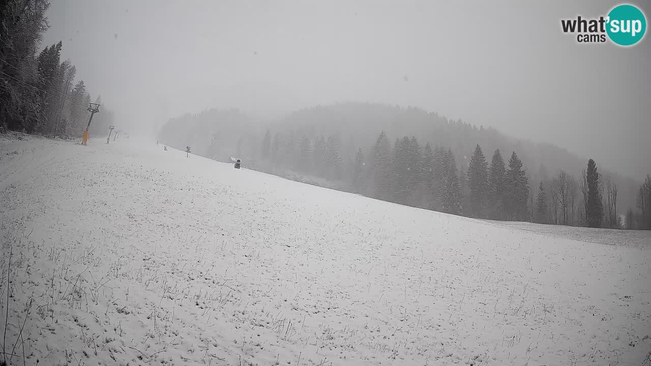 Ski Kranjska Gora | Brsnina