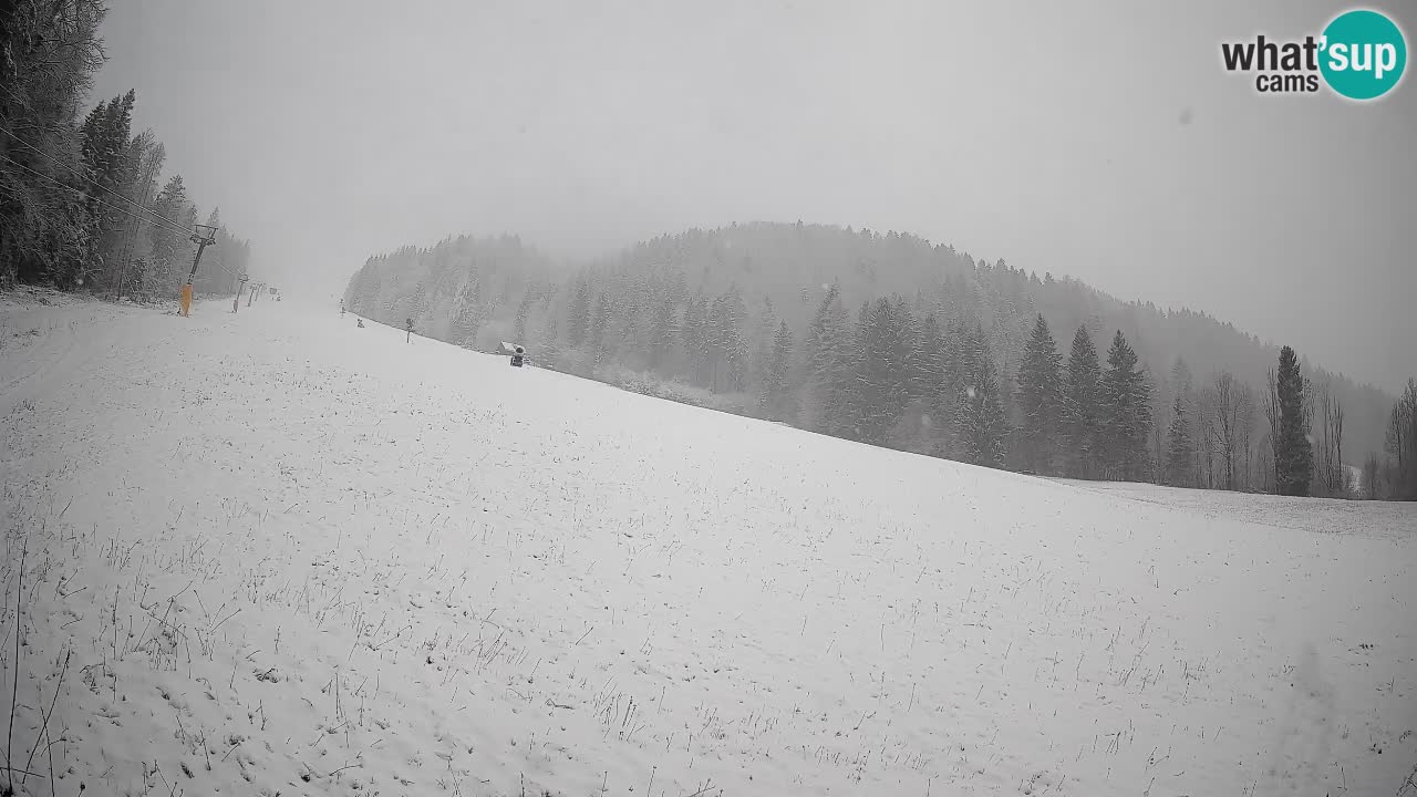 Kranjska Gora SKIJANJE | Brsnina