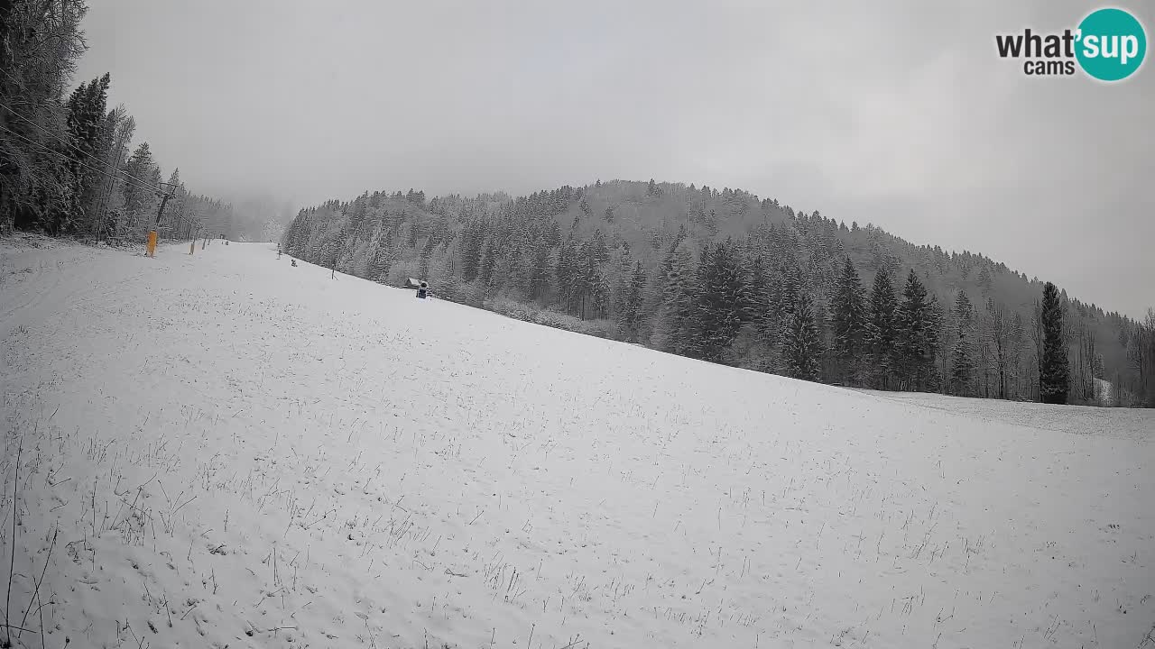 Ski Kranjska Gora | Brsnina