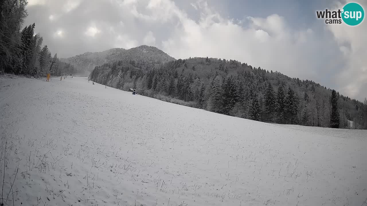Esquí Kranjska Gora | Brsnina